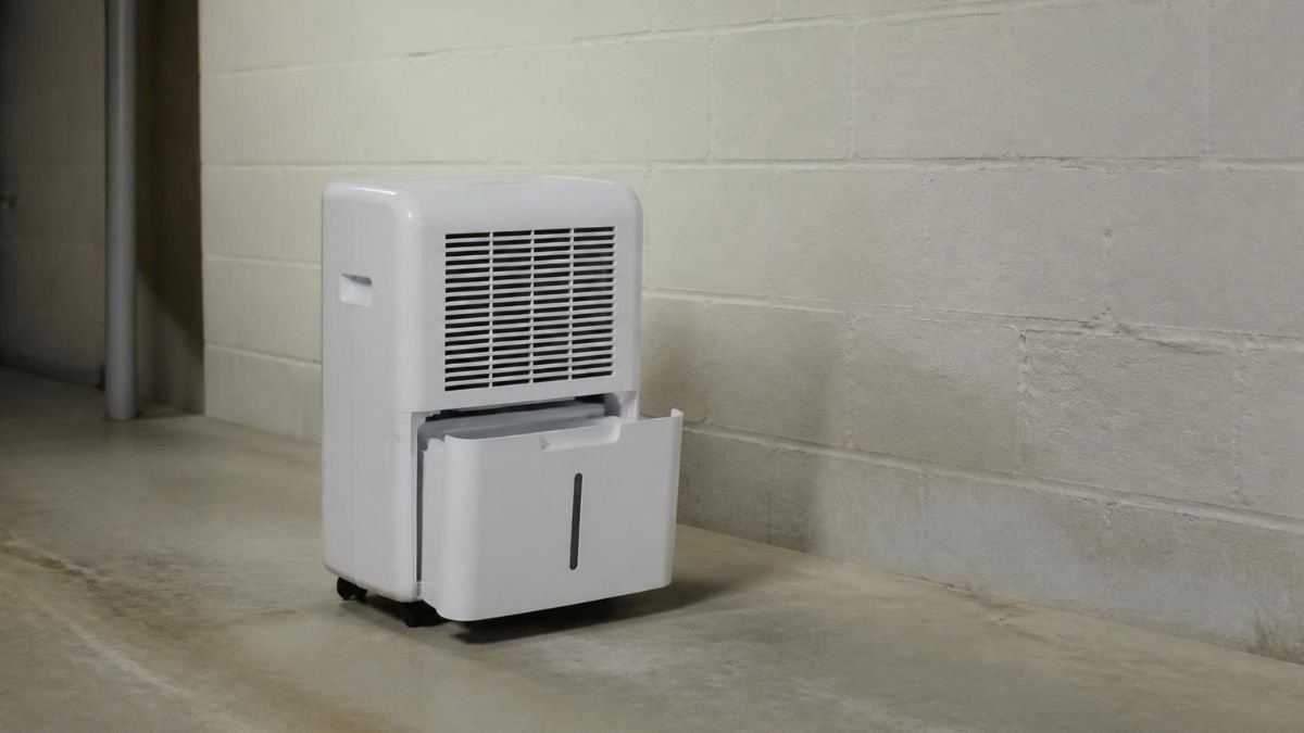 A white portable dehumidifier standing on a concrete basement floor a short distance from a painted block wall, with its water bucket partly pulled out